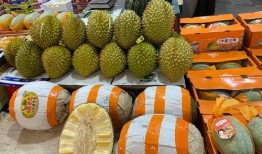 邹平榴莲价格最新爆料,揭秘市场动态与消费者关注焦点